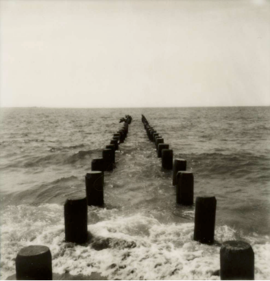 Edges of the Ocean Landscape